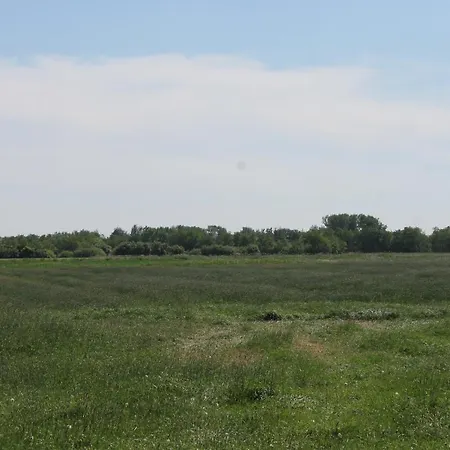 5 Im Boehler Haubarg * Sankt Peter-Ording